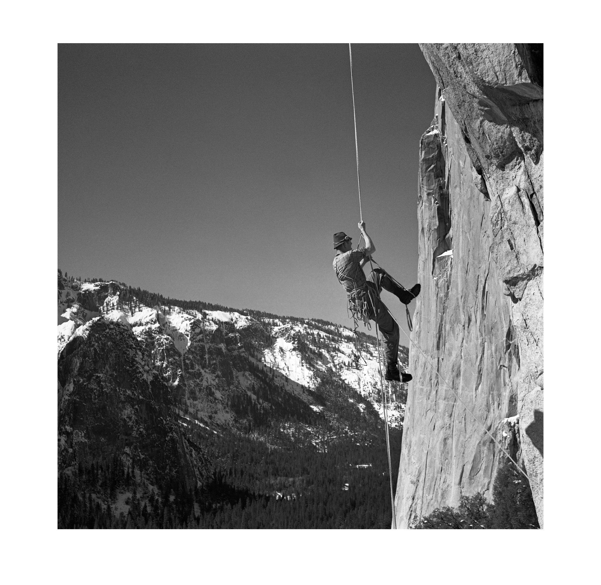 Allen Steck – El Cap Tree
