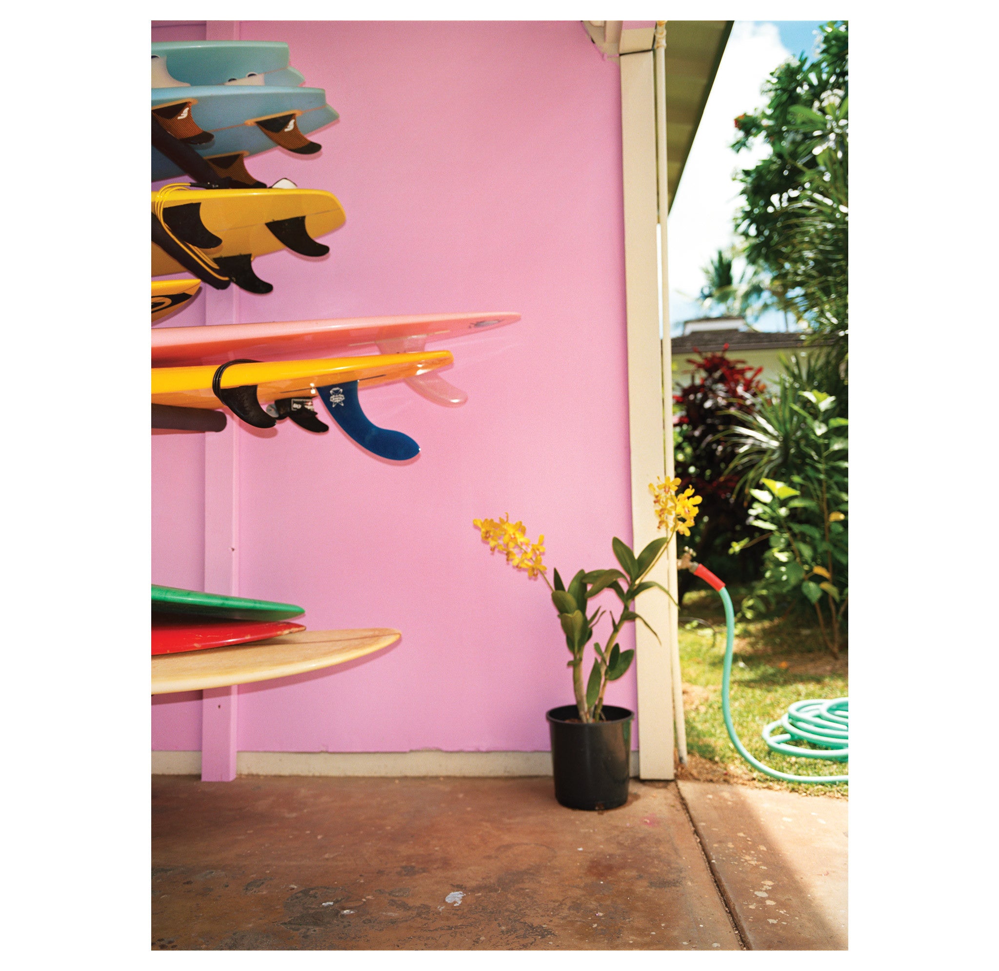 Dewey Nicks – Pink Wall