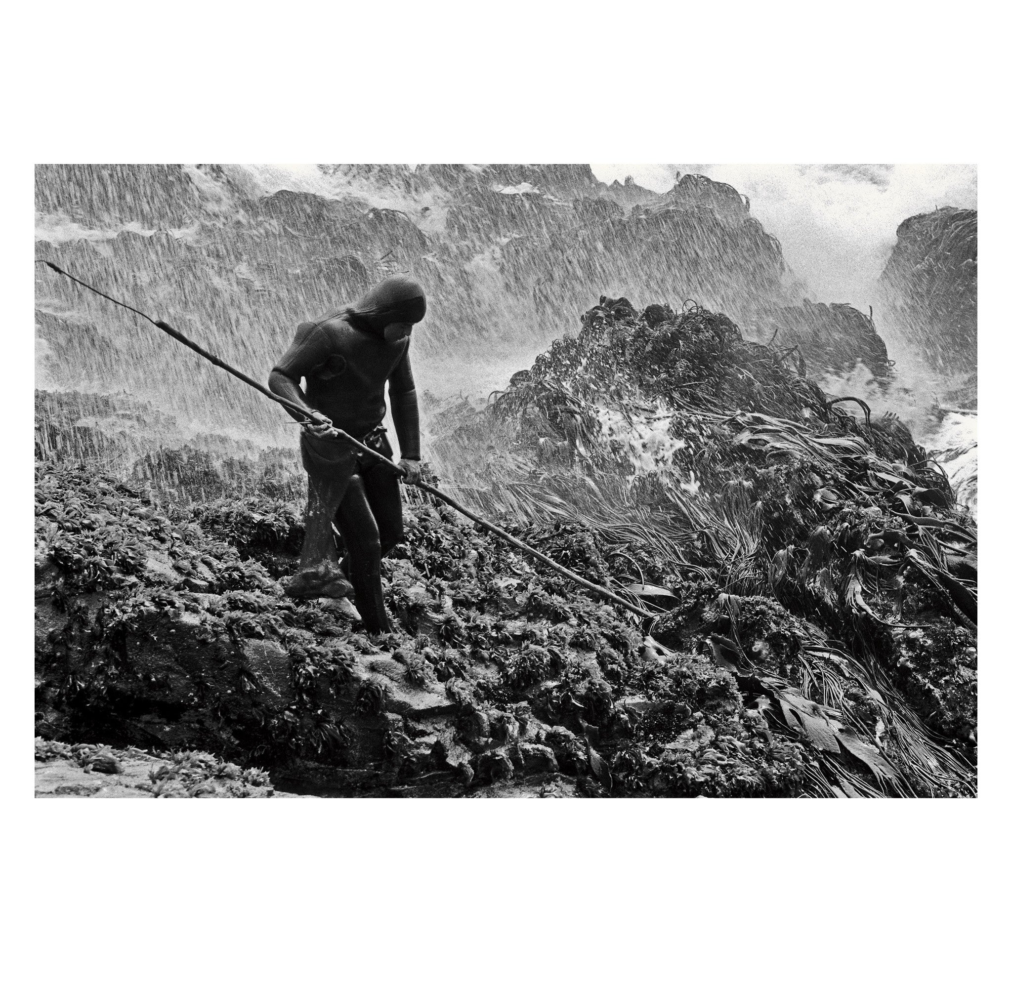 Jeff Johnson – Abalone Man