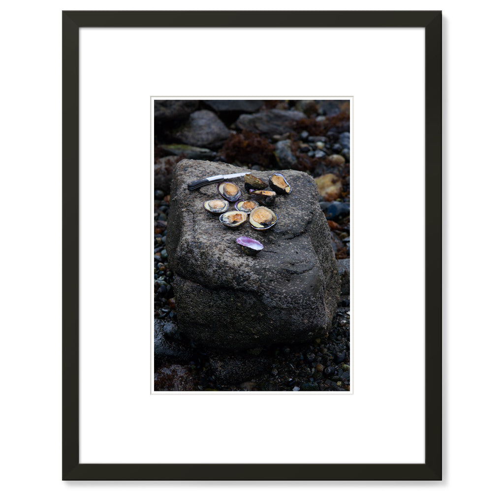 Jeff Johnson – Oysters