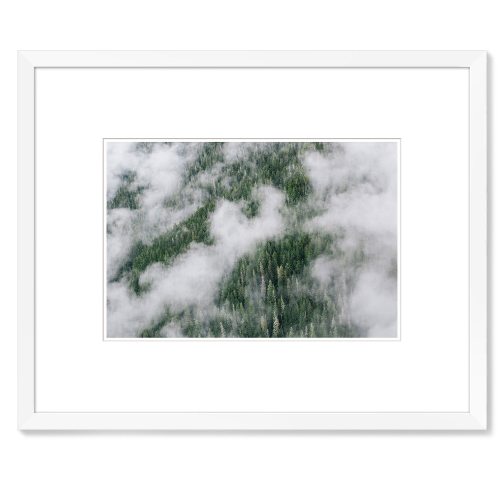 Jeremy Koreski – Great Bear Rainforest