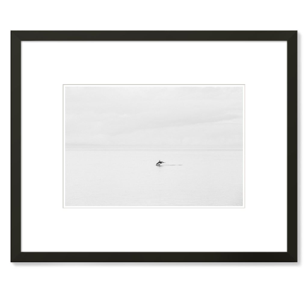 Jeremy Koreski – Lone Dolphin