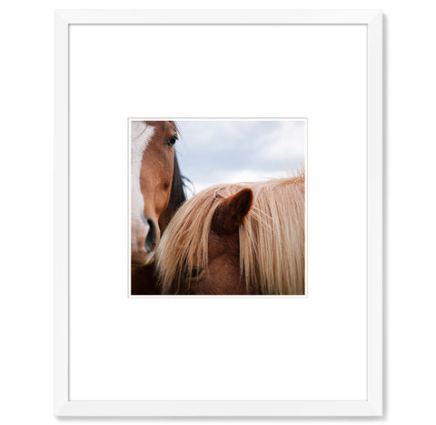 Jonathan Levitt – Horses 3