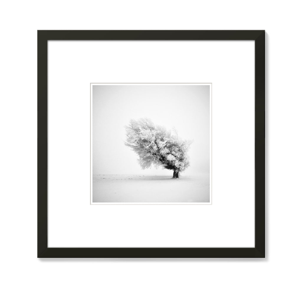 Michael Schlegel – Frozen Life III