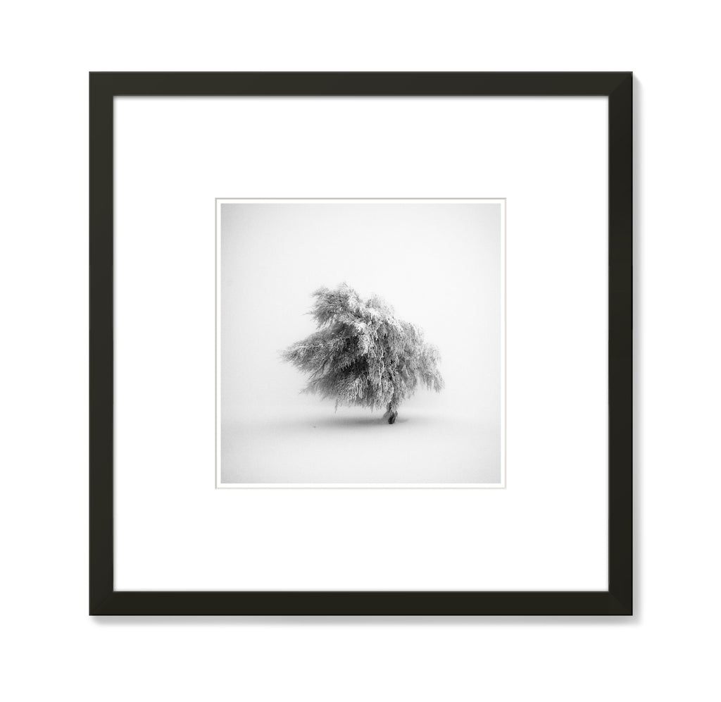 Michael Schlegel – Frozen Life VIII