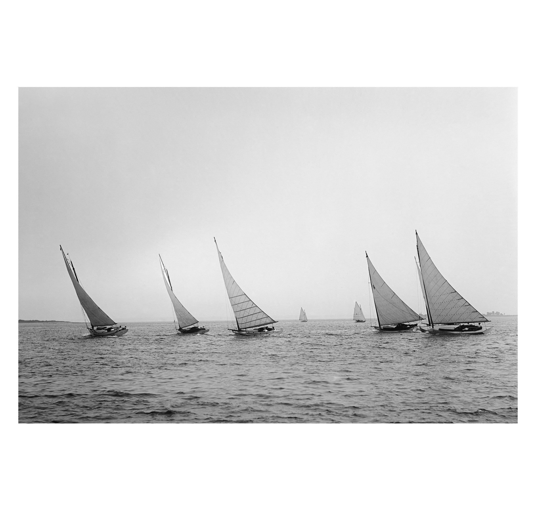 John S. Johnston - Cabin Cats