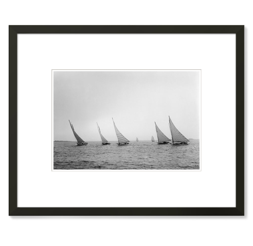 John S. Johnston - Cabin Cats