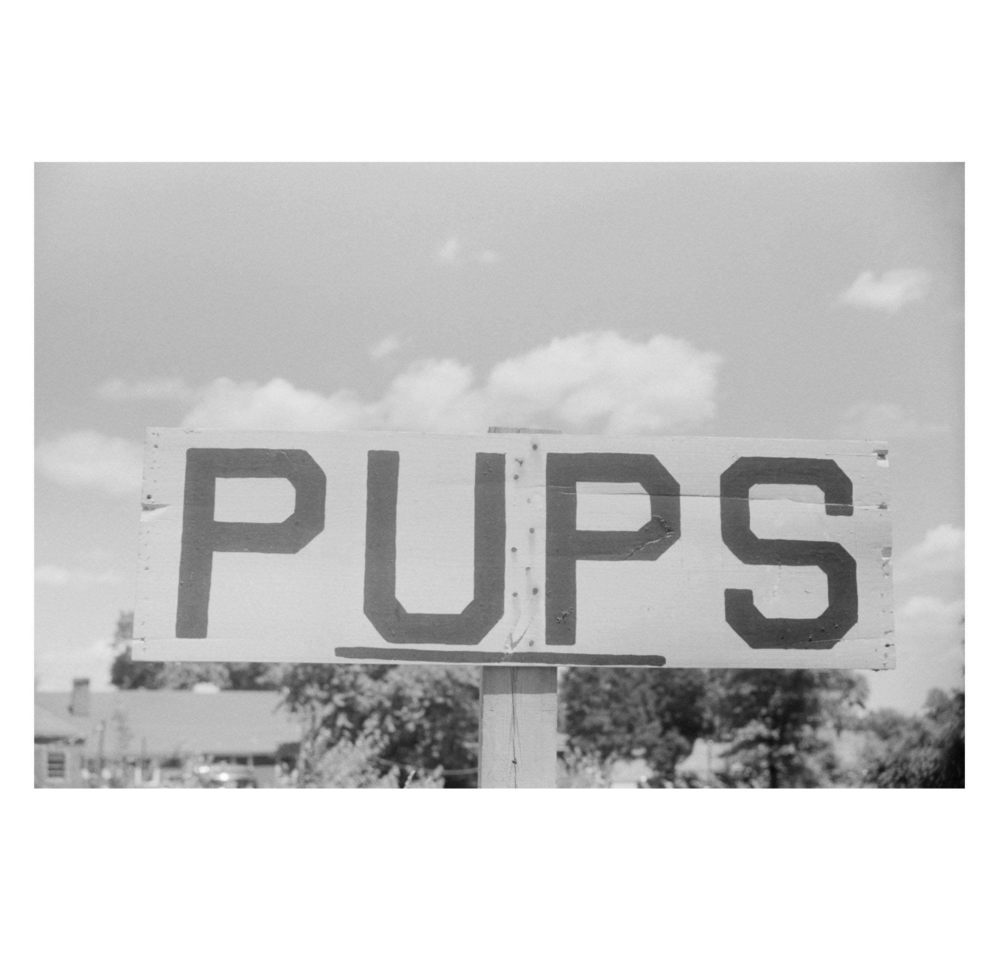 Jack Delano - Sign Along US 1