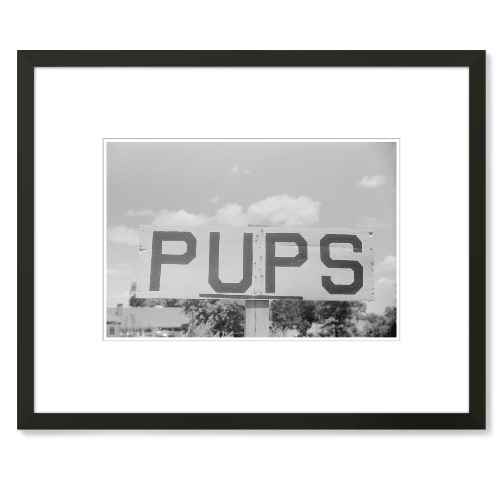 Jack Delano - Sign Along US 1