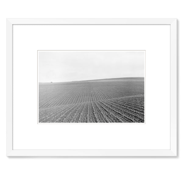 VIN033-C_grande.jpg?v=1511403580