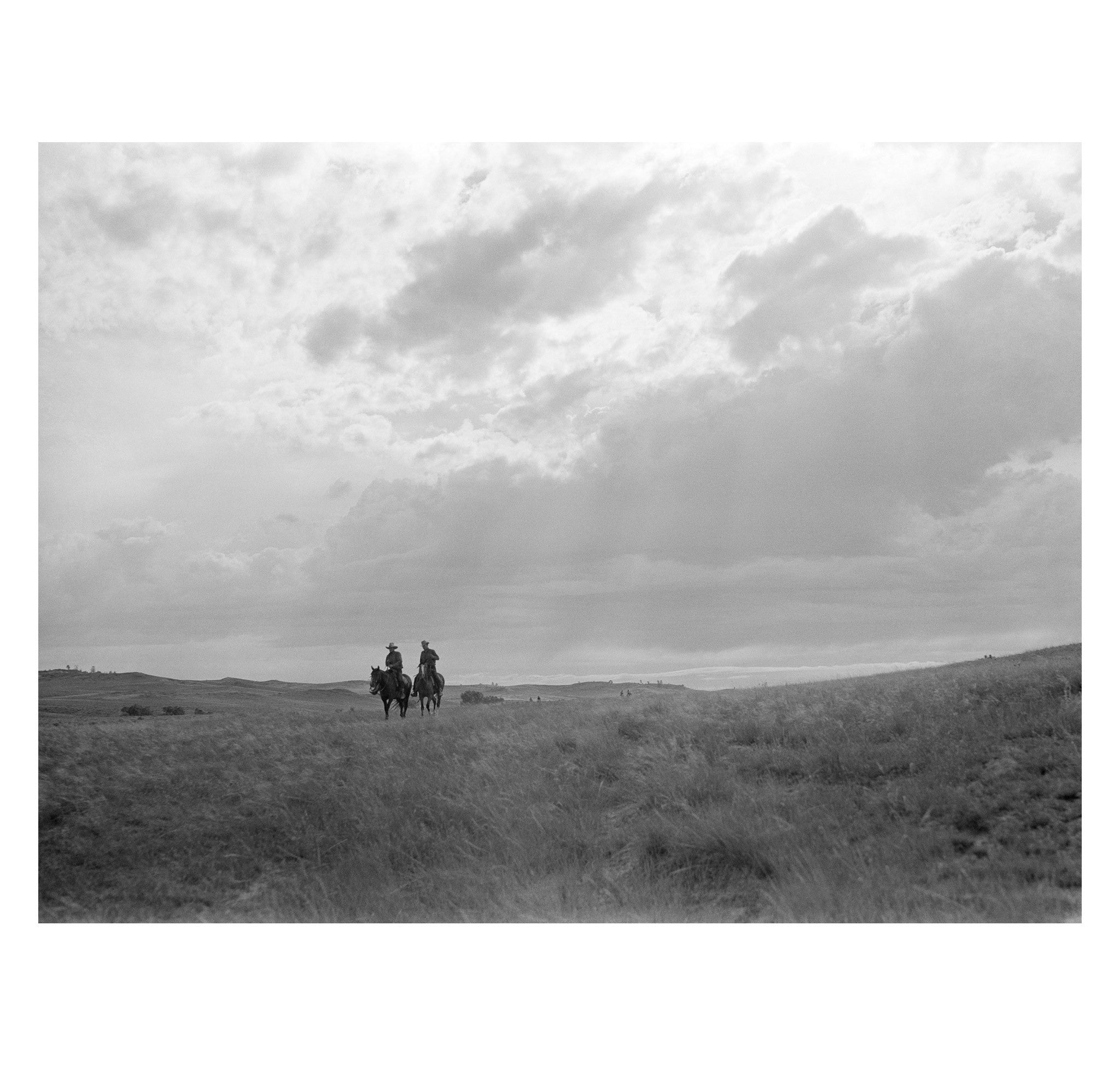 Arthur Rothstein - Cowhands