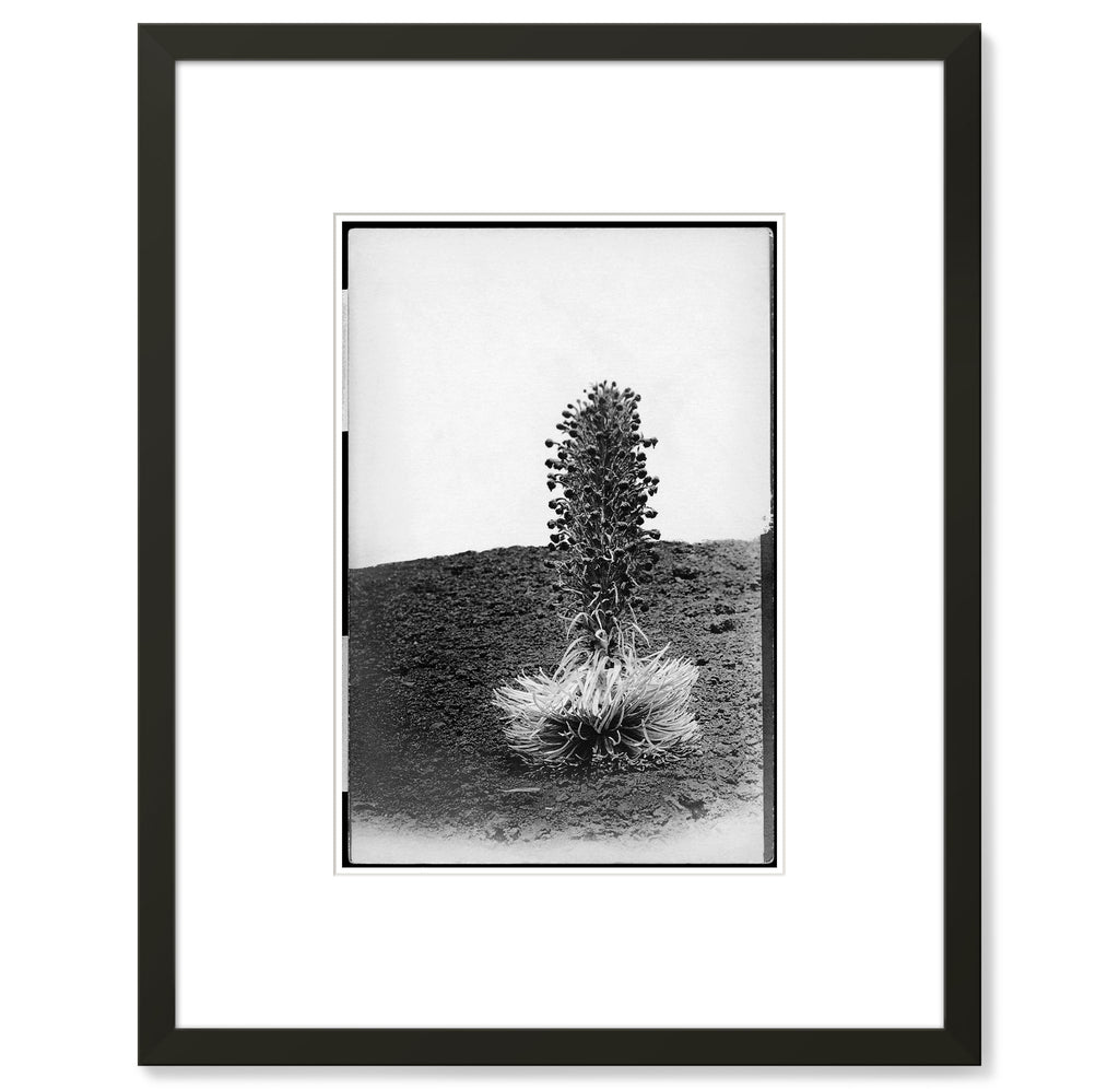 Unknown - Silver Sword