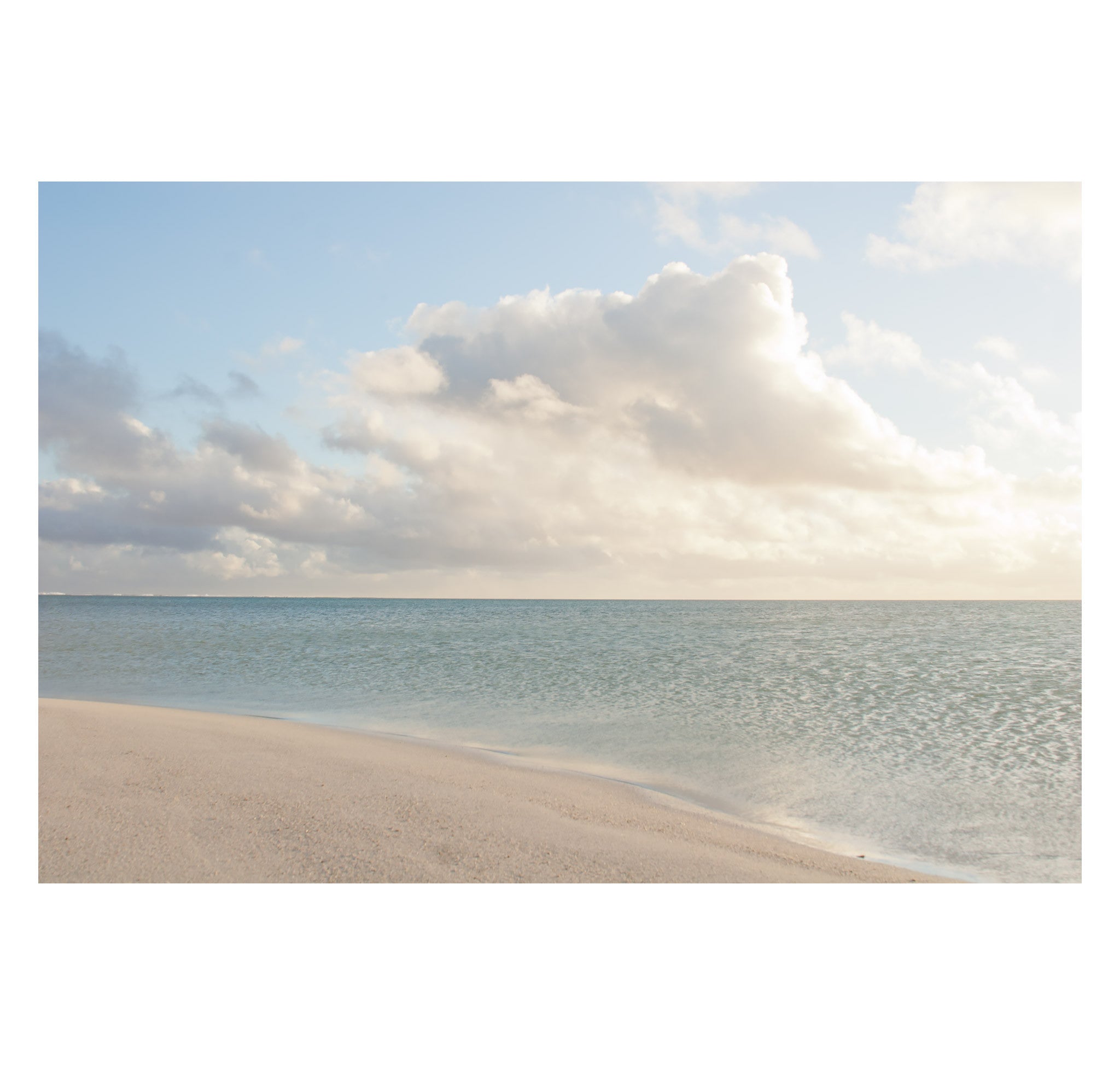 Will Adler – Print 2