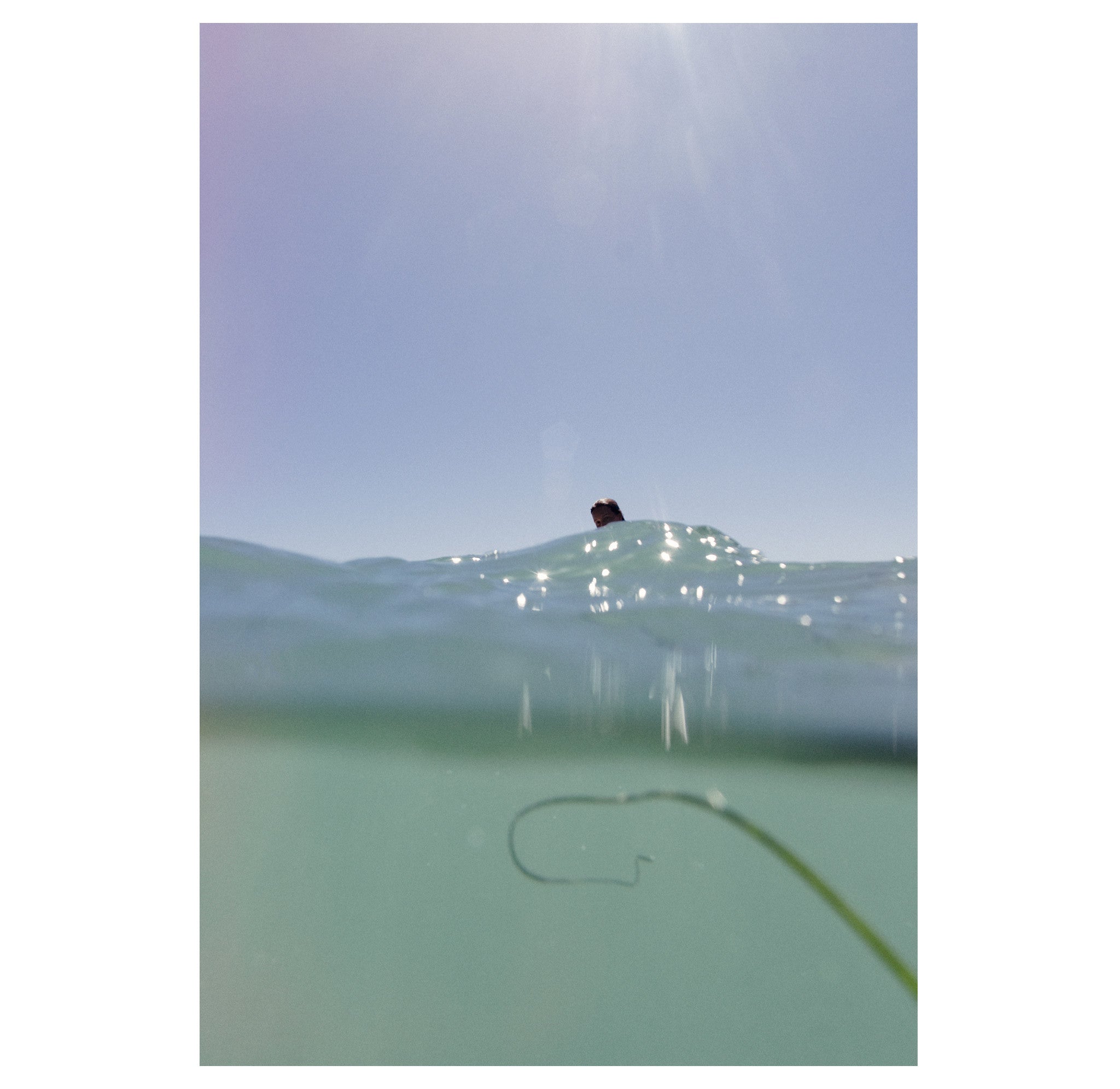 Will Adler – Print 5