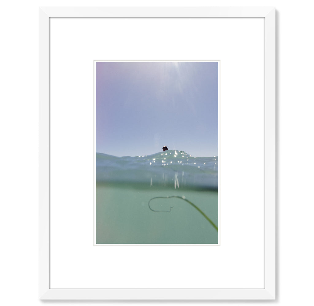 Will Adler – Print 5