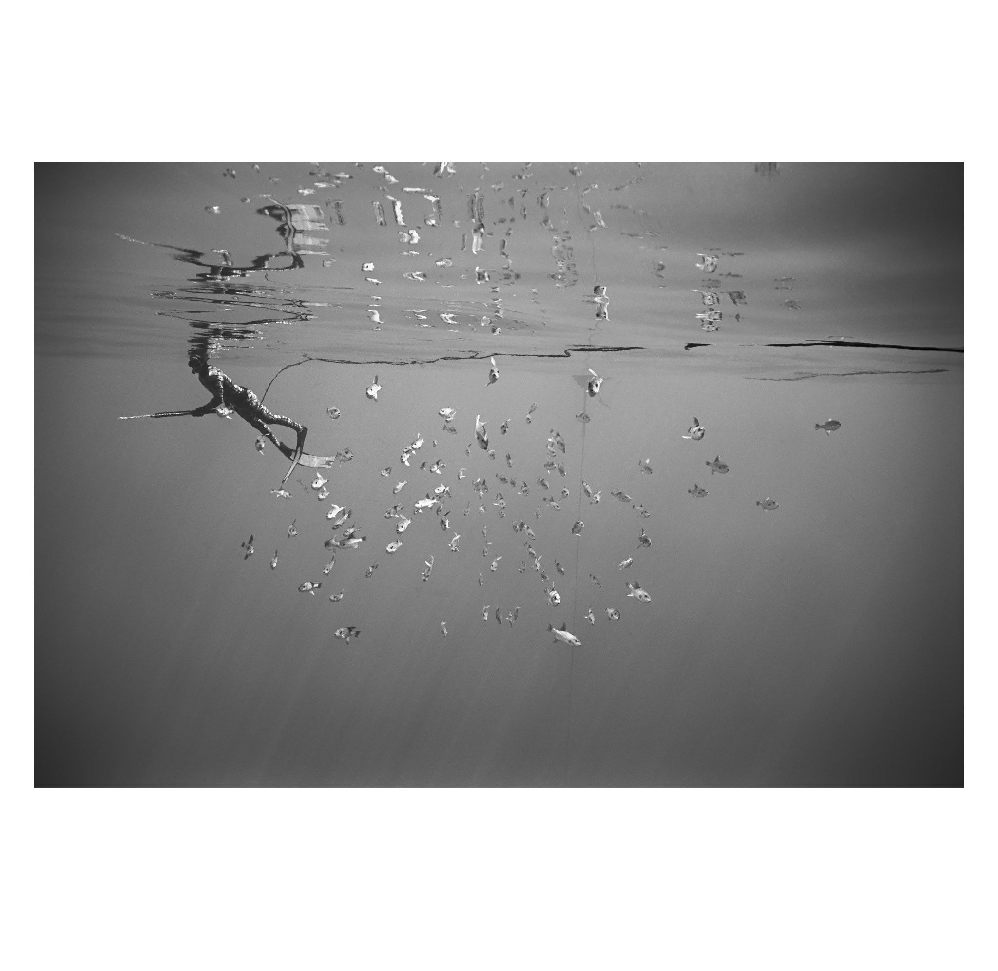 Wayne Levin – Spear Fisherman