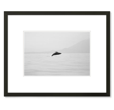 Jeremy Koreski – Humpback Whale