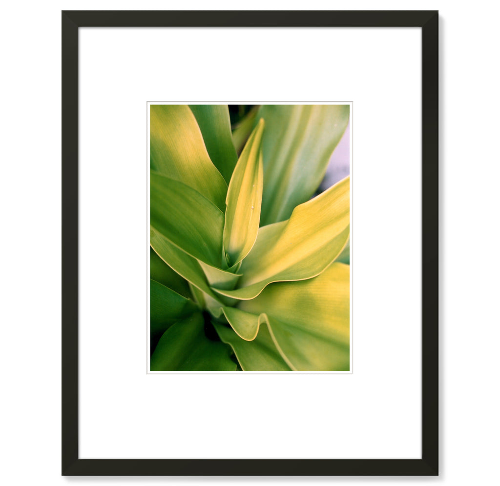 Pendry Newport Beach - GalleryStock - 01