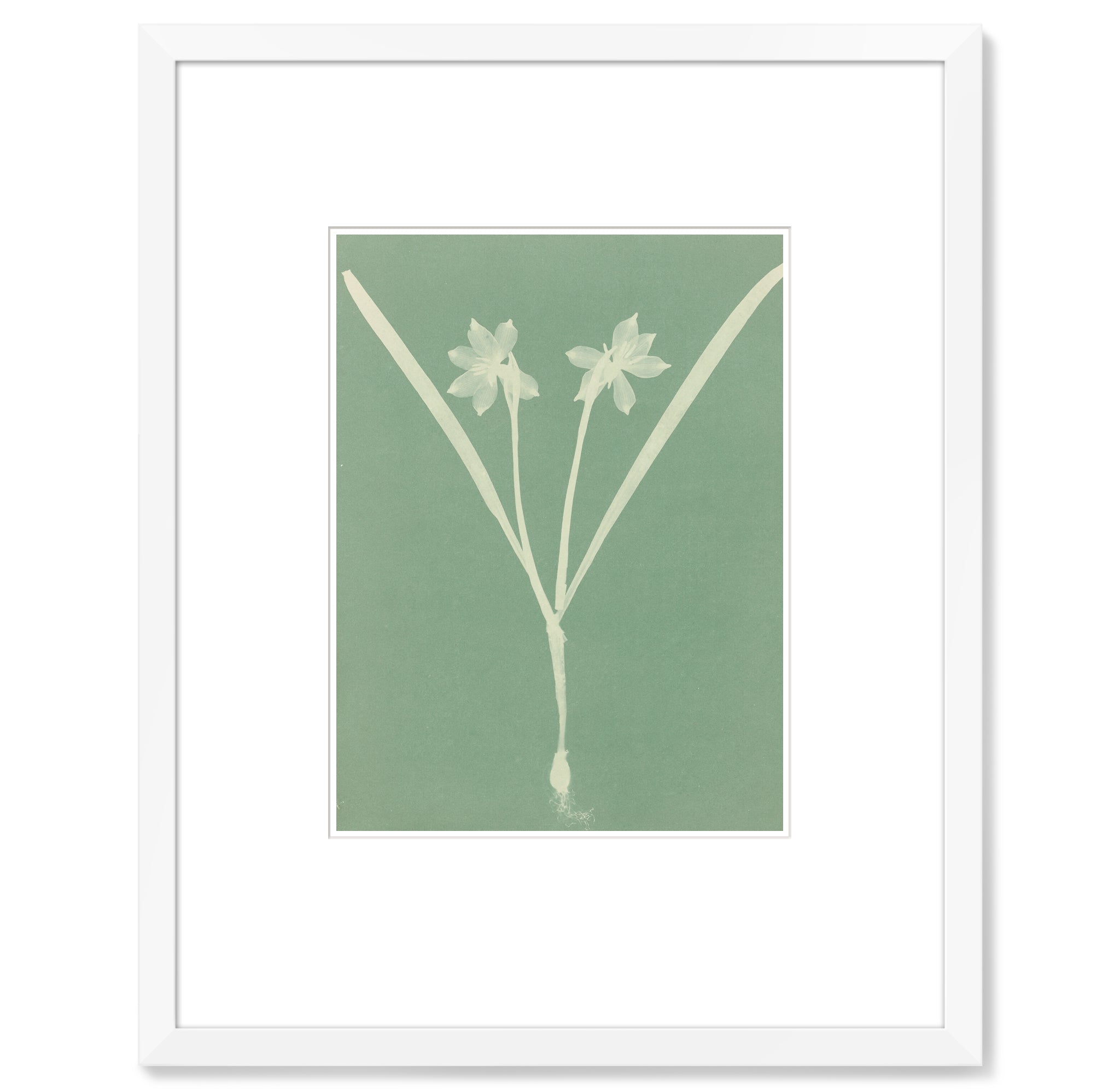 Pendry Newport Beach - Anna Atkins - 06
