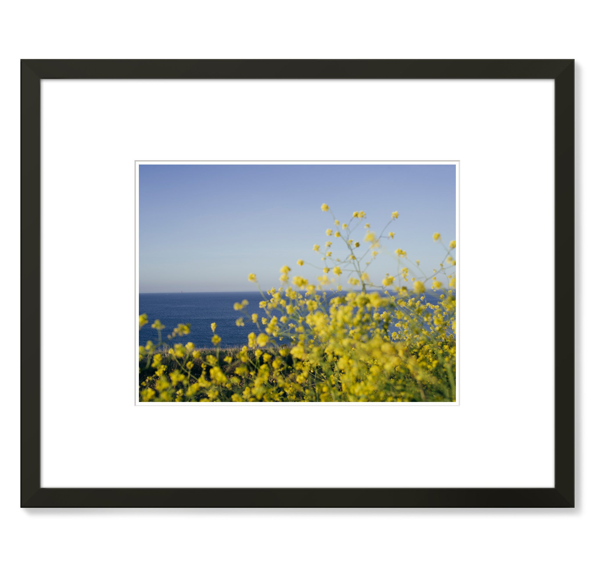 Pendry Newport Beach - Will Adler - 07 - 20 x 16 (USB2016-PNBWA07)